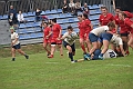 MAS_1546