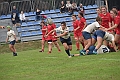 MAS_1547