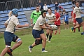 MAS_1549
