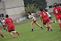 MAS_1590