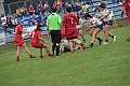 MAS_1597