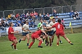 MAS_1610