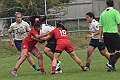 MAS_1647