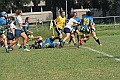 MAS_7995