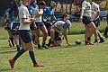 MAS_8028