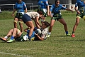 MAS_8084