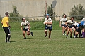 MAS_8129
