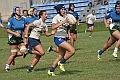 MAS_8138