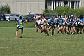 MAS_8154