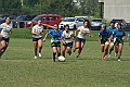 MAS_8158