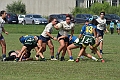 MAS_8166