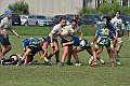 MAS_8167