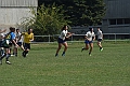 MAS_8196