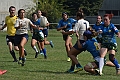 MAS_8210