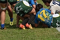 MAS_8237