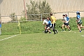 MAS_8244