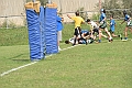 MAS_8246