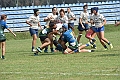 MAS_8264