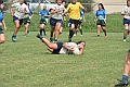 MAS_8284