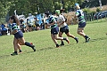 MAS_8381