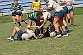 MAS_8390