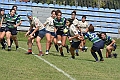 MAS_8399