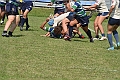 MAS_8403
