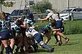 MAS_8415