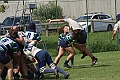 MAS_8416