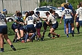 MAS_8421