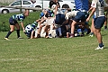 MAS_8426