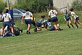 MAS_8430