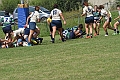 MAS_8432