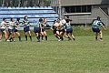 MAS_8442