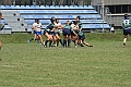 MAS_8444