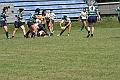 MAS_8445