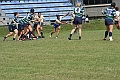MAS_8446