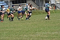 MAS_8449