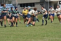 MAS_8451