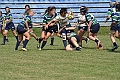 MAS_8455