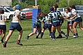 MAS_8491