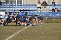 MAS_3175