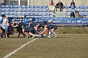 MAS_3176