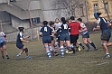 MAS_3433