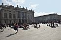 MAS_1447