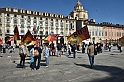 MAS_1446