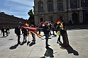MAS_1463