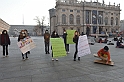 MAS_9567