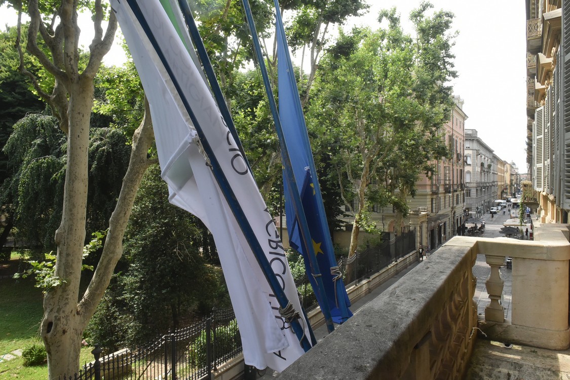 MAS_8114.jpg