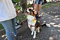 MAS_7805